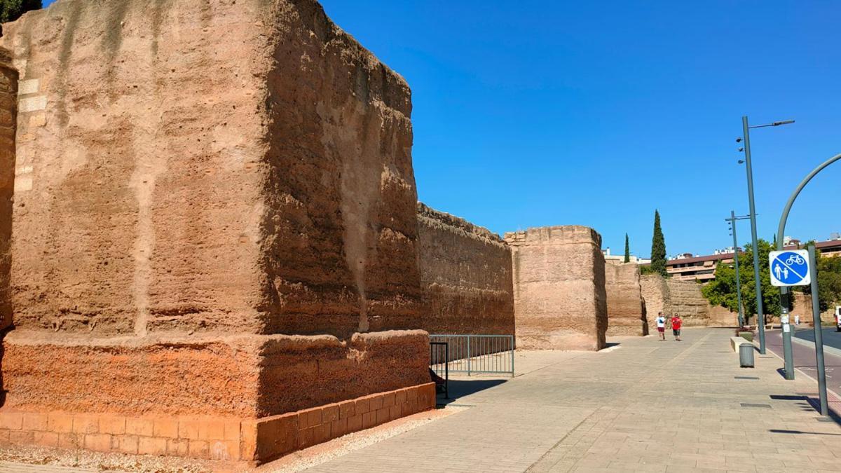 Patio De Rivas Y Palma Lejlighed Córdoba Eksteriør billede