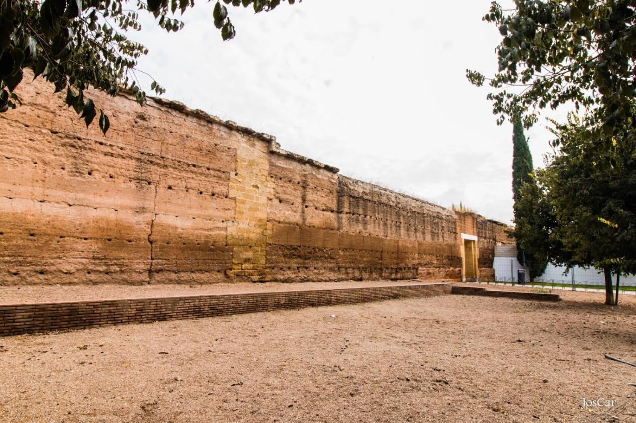 Patio De Rivas Y Palma Lejlighed Córdoba Eksteriør billede
